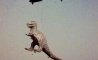 Fun Pic - Donnerstag Fun PicDump #494 - 78