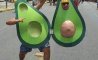 Fun Pic - Donnerstag Fun PicDump #511 - 2