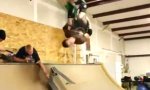 Backlflip von Skateboard zu Skateboard