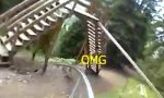 Sommerrodelbahn Extreme