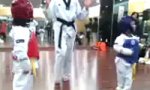 Lustiges Video : Brutalster Taekwondo Fight Ever