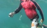 GoPro HD - Unterwasser vor Hawaii