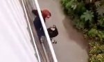 Funny Video - Spiderwoman at work?
