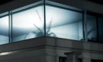 Movie : Spinnen-Monster im  Wohnzimmer