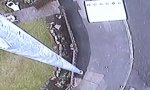 Lustiges Video - Überwachungskamera-Fäller