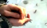 Funny Video : Eisfischen 2.0