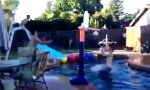 Lustiges Video : Bester Pool-Dunk Ever