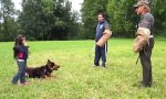 Lustiges Video : Schäferhund beschützt 5-Jährige