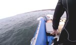 Mit Schlauchboot in Hai-Gewässern
