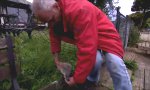 Lustiges Video - Undank ist der Welt Lohn