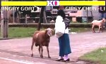 Movie : Street Fighter - Angry Goat Edition
