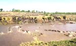 Funny Video - Tierischer Wandertag