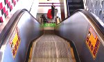 Lustiges Video : Bälle auf der Rolltreppe