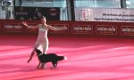 Hundeballett