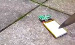 Funny Video : Messer vs Handybatterie