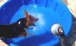 Lustiges Video : Mach mich nass!