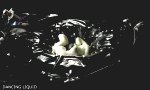 Movie :   10 erstaunliche Tricks mit Flüssigkeiten  