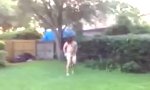 Funny Video - Buttwater Alarm!