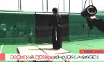 Samurai vs Tennisball
