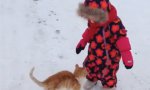Funny Video : Katzenminze im Schneeanzug?