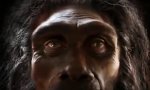 Funny Video : Die Evolution des Gesichts