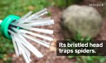 Lustiges Video : Der Spinnenfänger