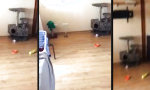 Funny Video - Neue Spielwiese für die Mieze