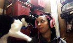 Funny Video - Kraul meinen Kopf!