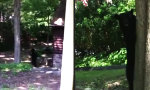 Funny Video : Seltsamer zweibeiniger Besucher