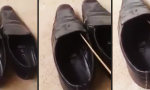 Funny Video - Checke deine Schuhe vor dem Anziehen