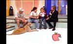 Funny Video - Löwenkind und Menschenkind