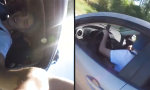 Funny Video : Roadtrip Selfie