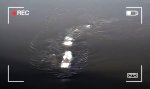 Lustiges Video : Seeungeheuer in Alaska gesichtet