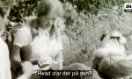Lustiges Video : Ein dänisches Mädel auf Reisen
