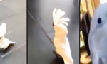 Movie : Im falschen Körper geboren