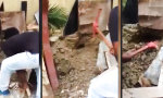 Funny Video - Knusper, knusper, knäuschen...