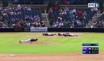 Lustiges Video : Killerbienenschwarm beim Baseball