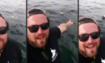 Selfie mit einem Hai