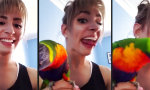 Lustiges Video : Guter Plausch vorprogrammiert