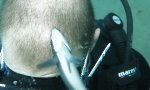 Lustiges Video : Neues Mittel gegen Schuppen