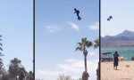 Funny Video : Spaß mit dem Flyboard