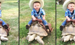 Funny Video : Turtle Cowboy
