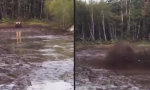 Funny Video : Die neuen Quads einweihen