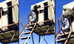 Lustiges Video - Überraschung im Container