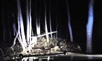 Funny Video : Was für eine Verfolgungsjagd