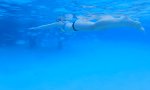 Lustiges Video : Was schwimmt mir denn da entgegen?