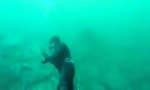 Movie : Begegnung in trübem Gewässer