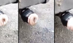 Movie : Fleischiger Auspuff