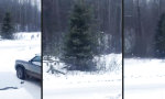 Movie : Unheimliche Geräusche aus dem Wald
