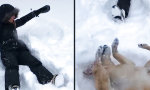 Hund macht Schnee-Engel
